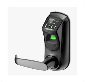 Biometric Locks